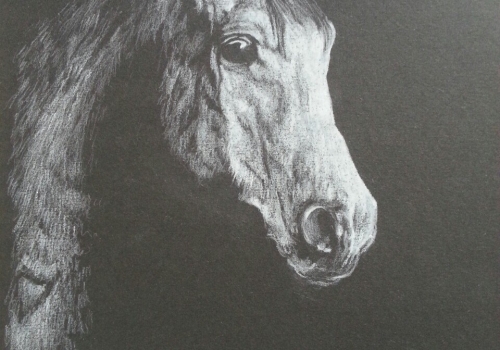 Drawing #7